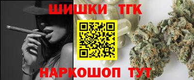 амф Камышлов
