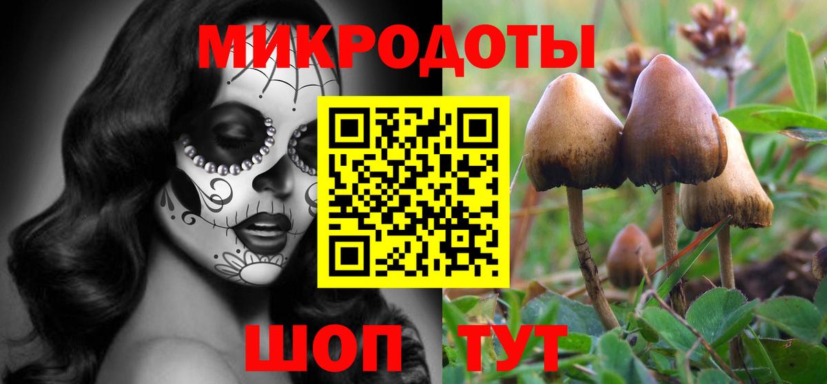 Галлюциногенные грибы Cubensis  Вход с VPN  Краснокаменск  Псилоцибиновые грибы мицелий 
